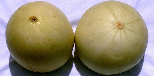 melons500.JPG