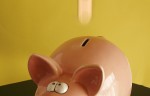 Piggy Bank Emergency Fund