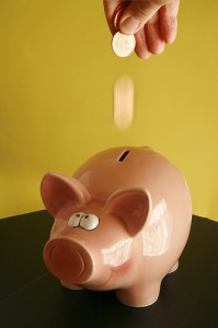 Piggy Bank Emergency Fund Piggy Bank Emergency Fund