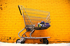 Online Store Shopping Cart