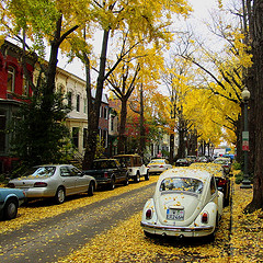 Owning a Car in the City Owning a Car in the City