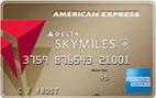Gold Delta SkyMiles American Express Card Big