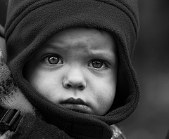 Freeze Childs Credit Report Freeze Childs Credit Report