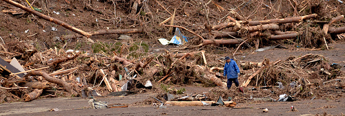 Japan Tsunami - Man Sifts Through Debris Japan Tsunami - Man Sifts Through Debris