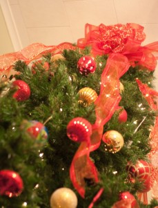 How to Start a Christmas Tree Farm