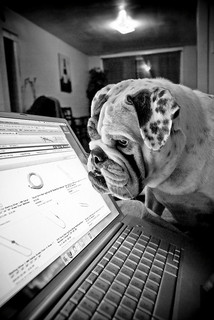 Stalking Property Tax Records Stalking Property Tax Records