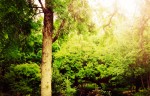 Green Investing