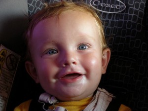 Gerber Grow Up Plan