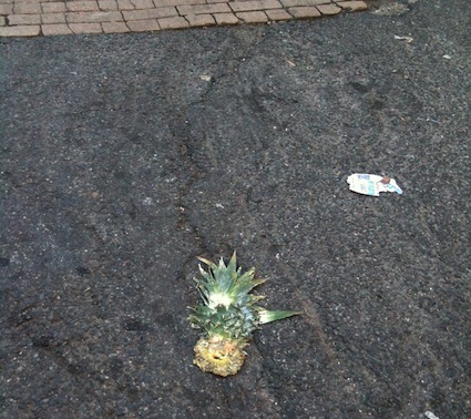 pineapple-roadkill