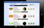 ipad mini