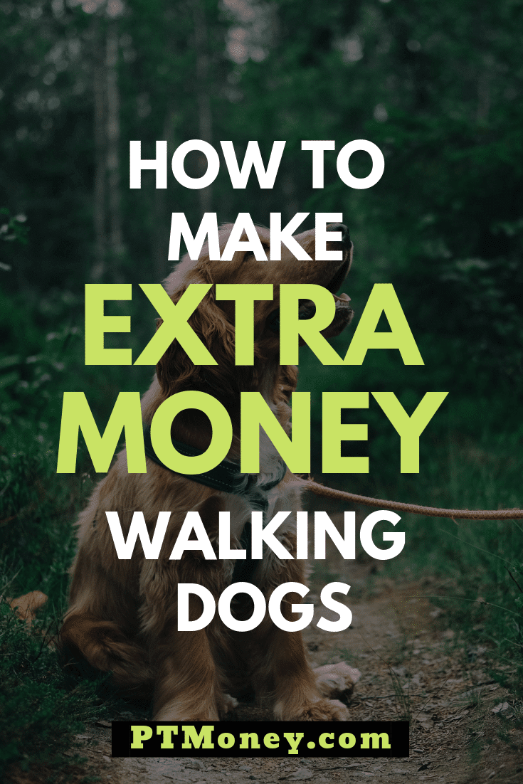 how-to-make-extra-money-as-a-dog-walker-and-sitter-pt-money