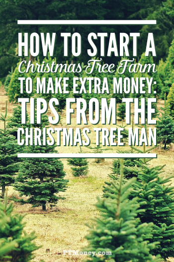 10 Tips to Start a Christmas Tree Farm to Make Money | PT ...